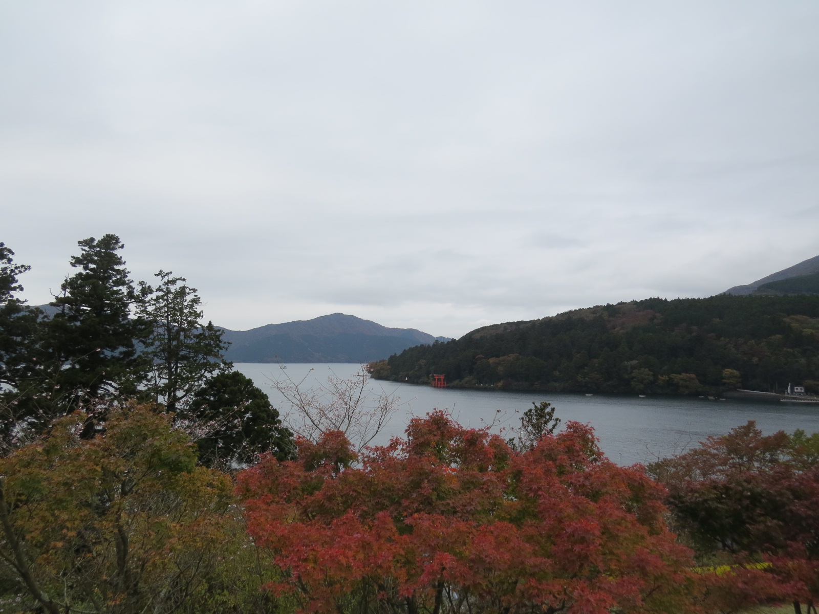 成川美術館｜2016年の最新情報