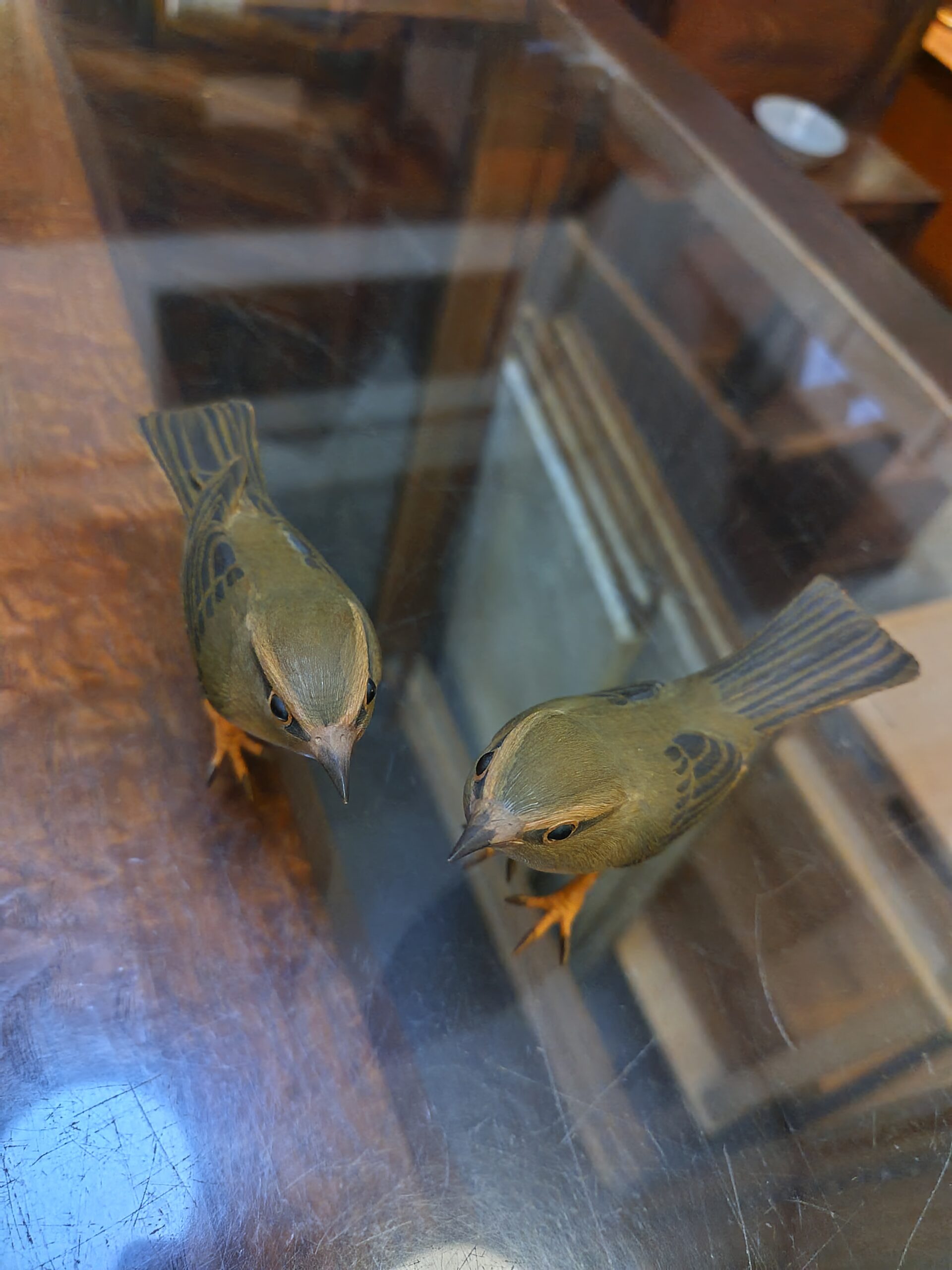 初代ッ上野玉水さんッ！！ 鶯の御夫婦ッ！！！ ｜ 海老屋美術店