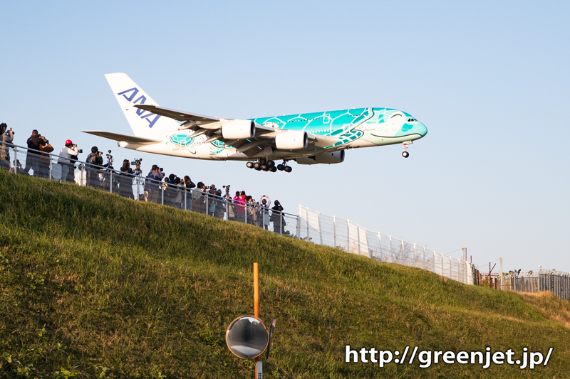 フライングホヌ2号機に超迫力で迫ったぞっ | MGT Greenjet 飛行機撮影記