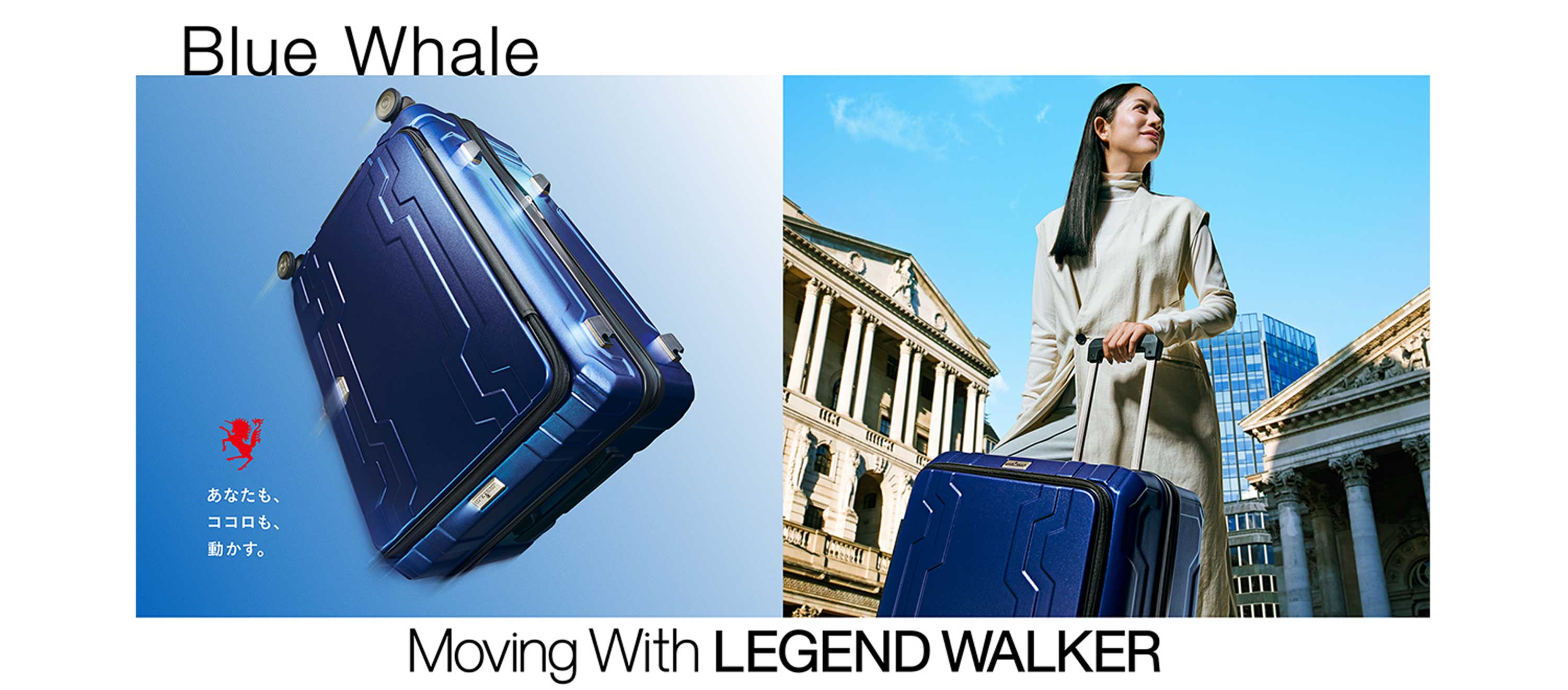 拡張機能付きフロントオープンスーツケース「5525 BLUE WHALE