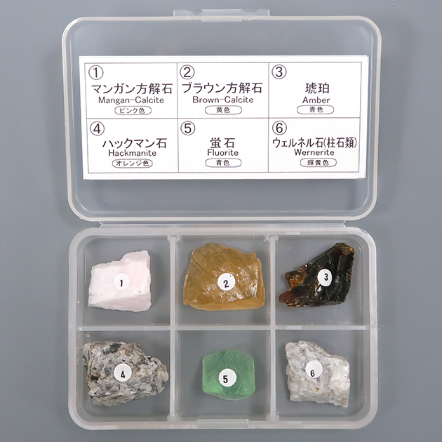 蛍光鉱物標本6種 長波｜化石販売・鉱物販売の東京サイエンス