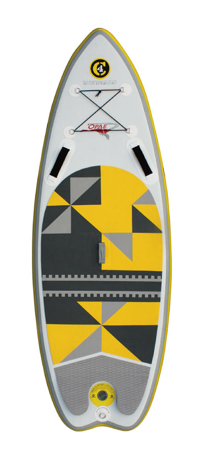 iSUPs | C4 Waterman Japan