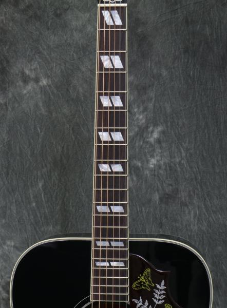 動画】漆黒のハミングバード！マンスリー・リミテッド・モデル