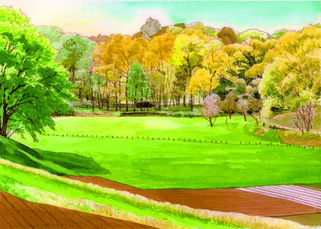 野津田・雑木林の会」写真集 秋