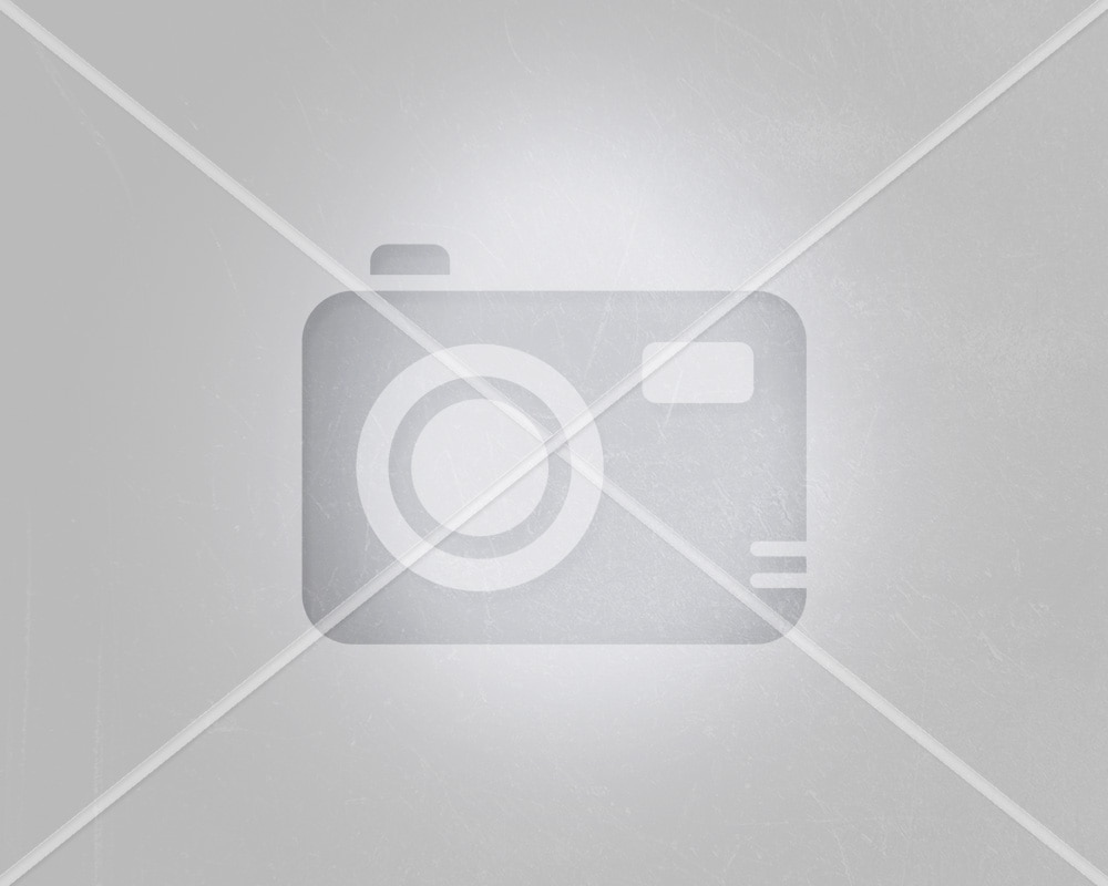 10040903 | Zebra Official Supplies Store