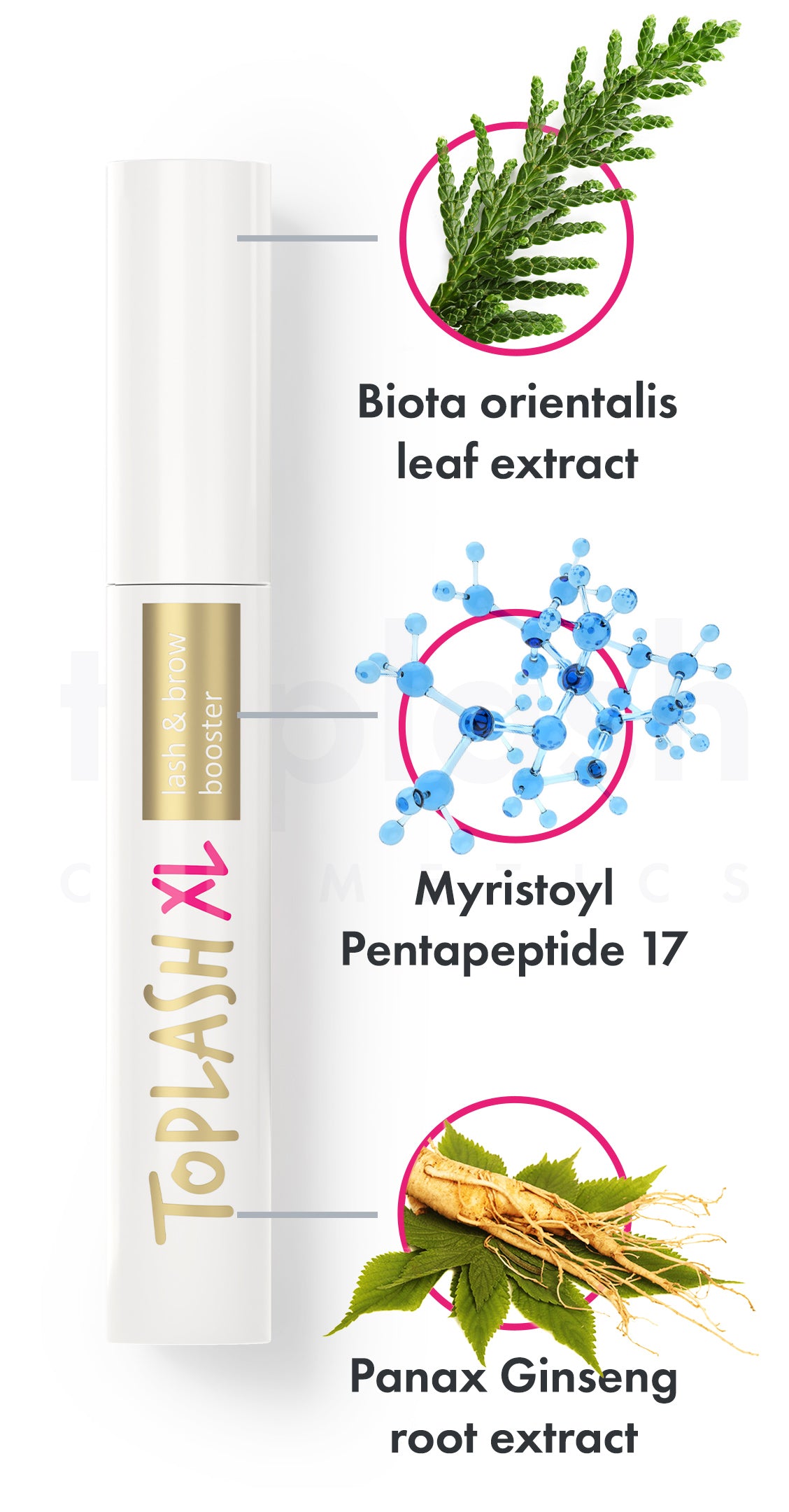 Toplash eyelash and eyebrow booster XL — 6ml – Toplash Cosmetics