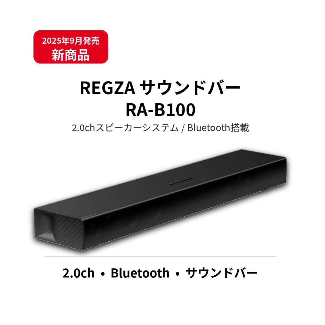 REGZA RA-B100」の人気商品一覧 | 安い商品を通販サイトから探す