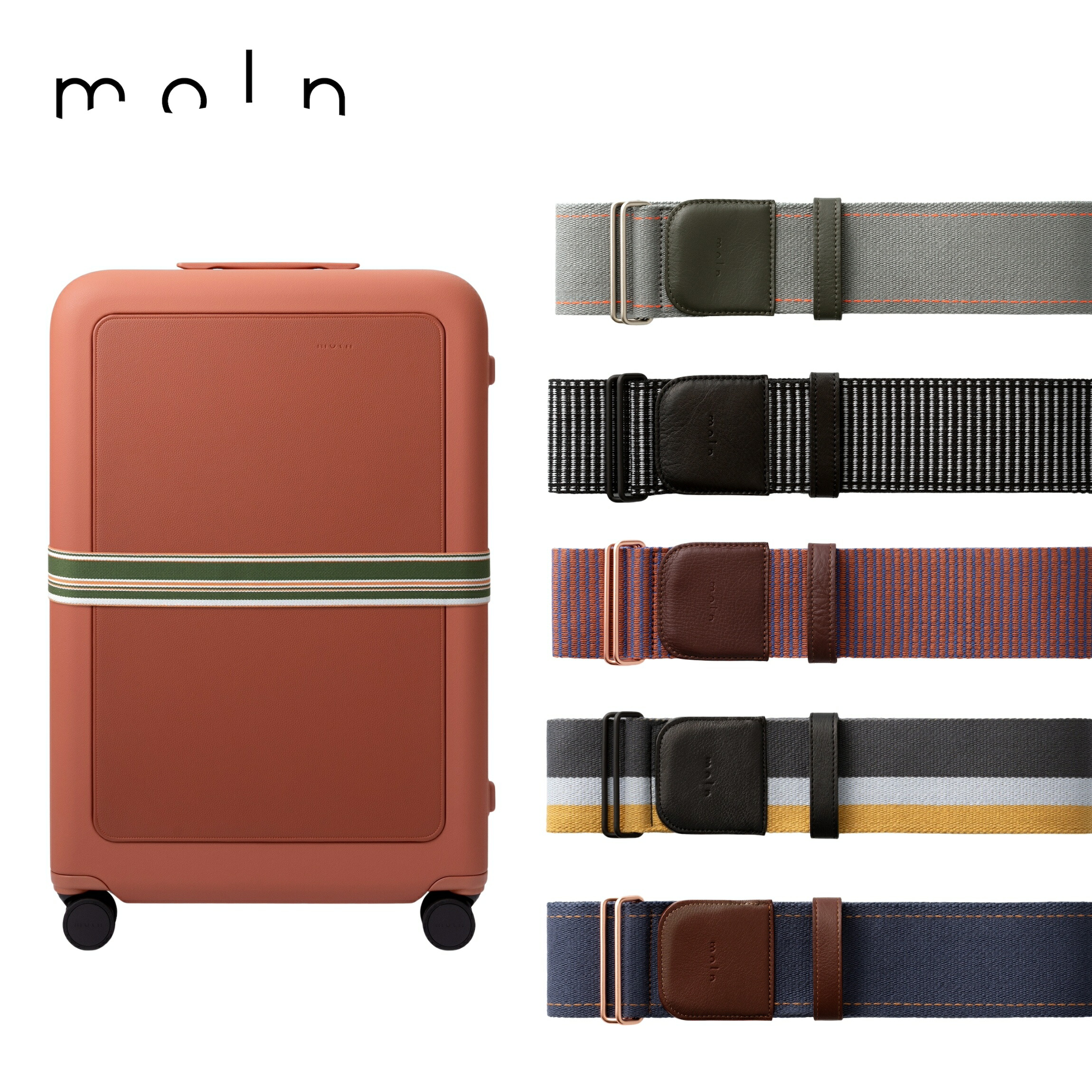 楽天市場】【moln 公式】スーツケースベルト ラゲージベルト キャリー