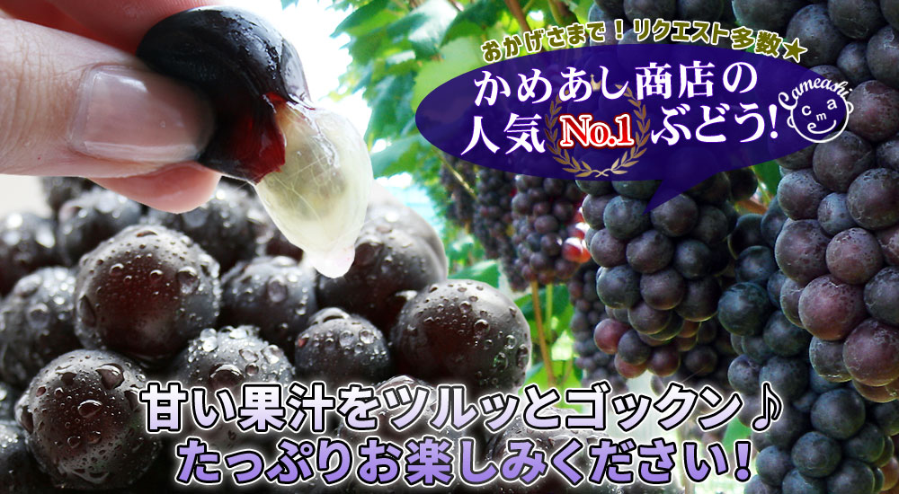 楽天市場】エントリーでポイント5倍 【青森県産ぶどう スチューベン