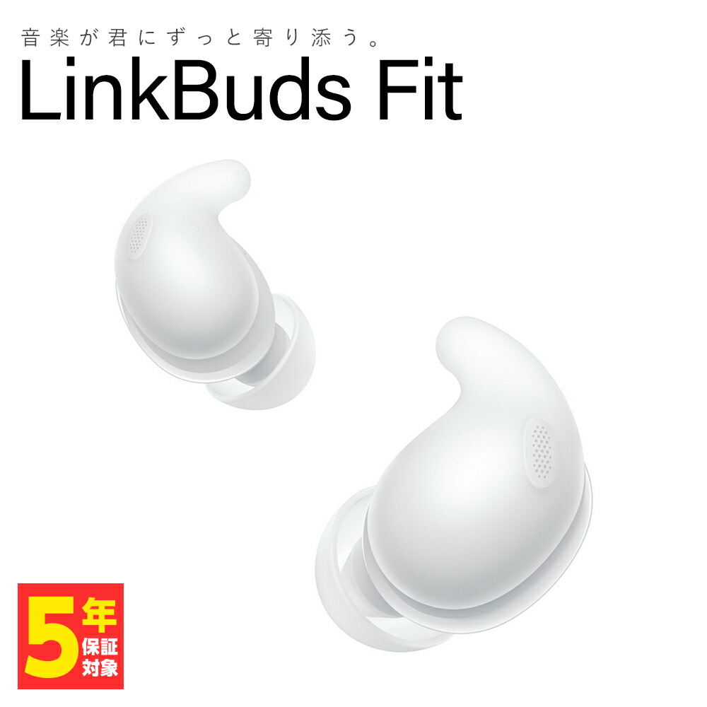 楽天市場】SONY LinkBuds Fit WF-LS910N ソニー ノイズキャンセリング