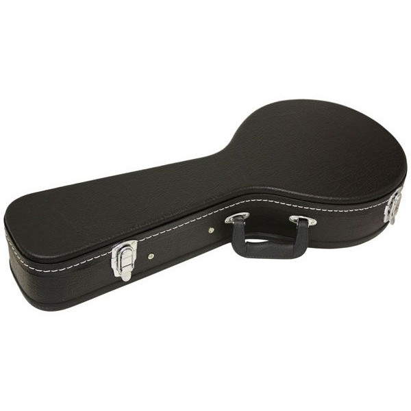 楽天市場】ARIA アリア CG-100M フラットマンドリン用ハードケース