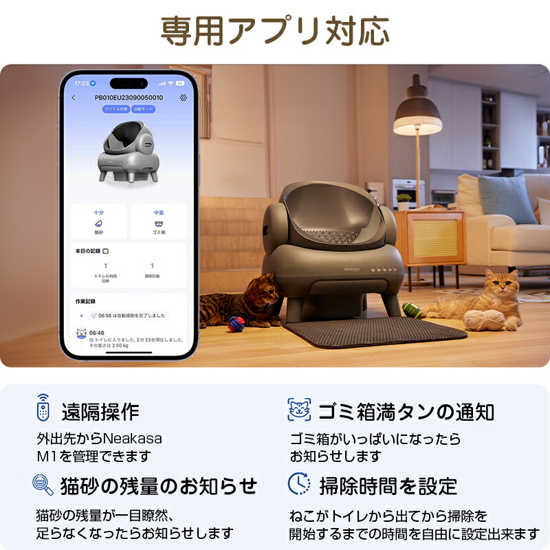 楽天市場】2000円OFFクーポン 2026年 福袋 6点セット☆当日発送