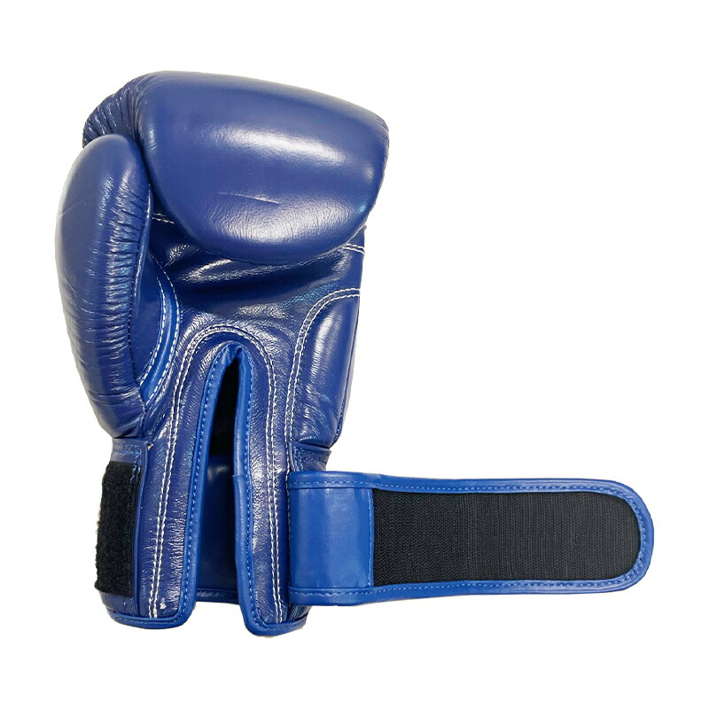 楽天市場】【日本総代理店】ランキング1位獲得 WINDY(ウィンディ) BGVH