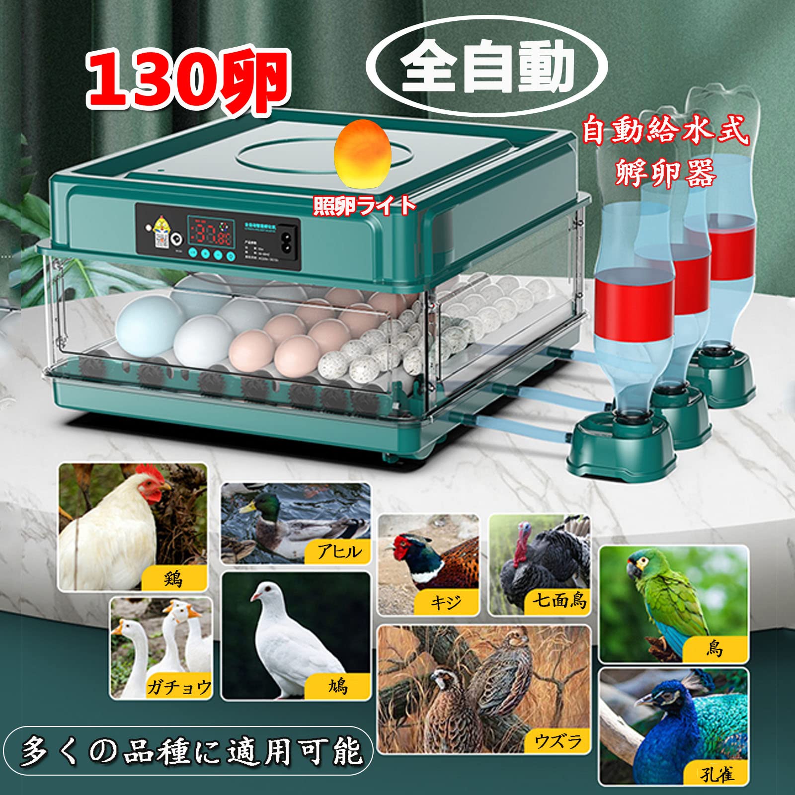 楽天市場】自動インキュベーター 自動孵卵器 孵卵機 自動転卵 卵孵化器