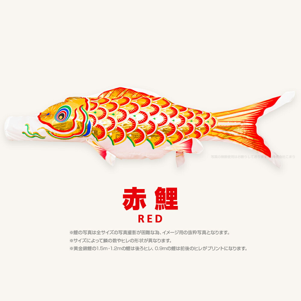 楽天市場】【3/1ワンダフルデーP最大4倍】 こいのぼり 単品 鯉のぼり