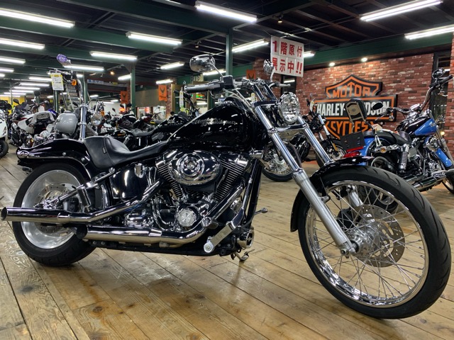 FXSTC】ソフテイル・カスタム入荷！ [最新情報] | U-MEDIA (ユー