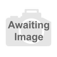 Standard RAL Colours302008KR RAL 3020 Traffic Red paint 1 Litre