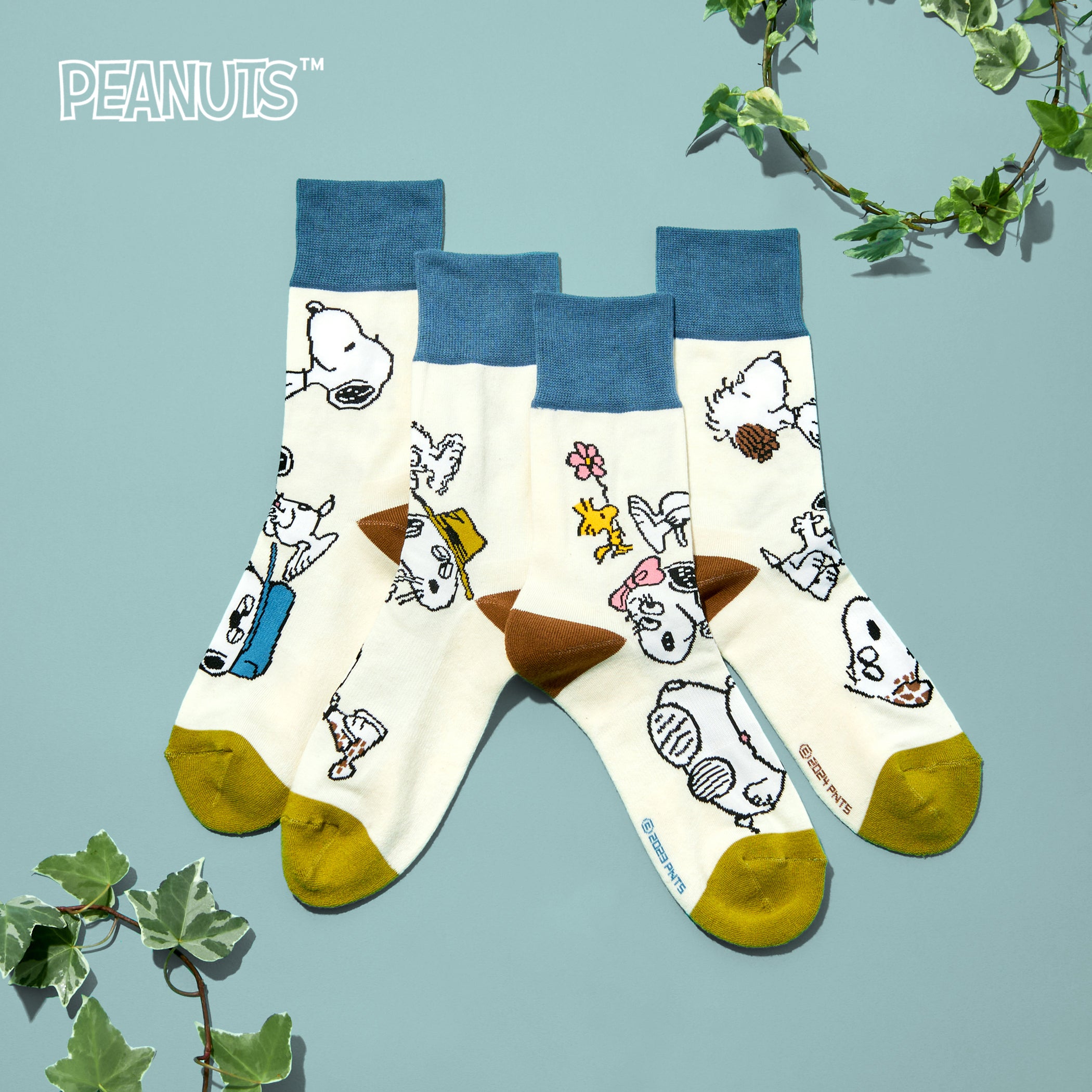 SNOOPY×CHICSTOCKS スヌーピー きょうだい