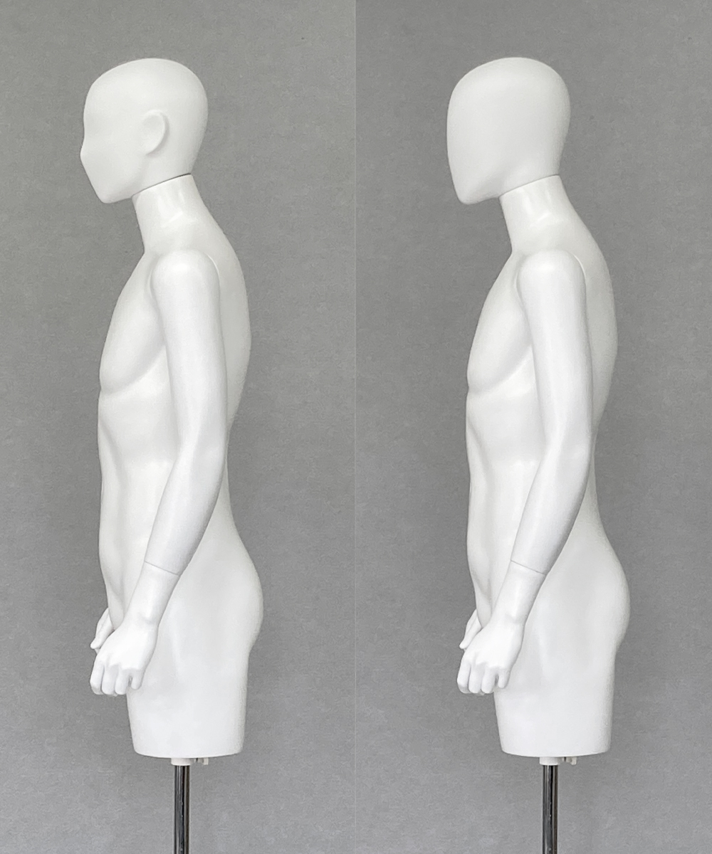 紳士 コンポボディー MT401-1｜トルソー（FRP）レンタルならアディス