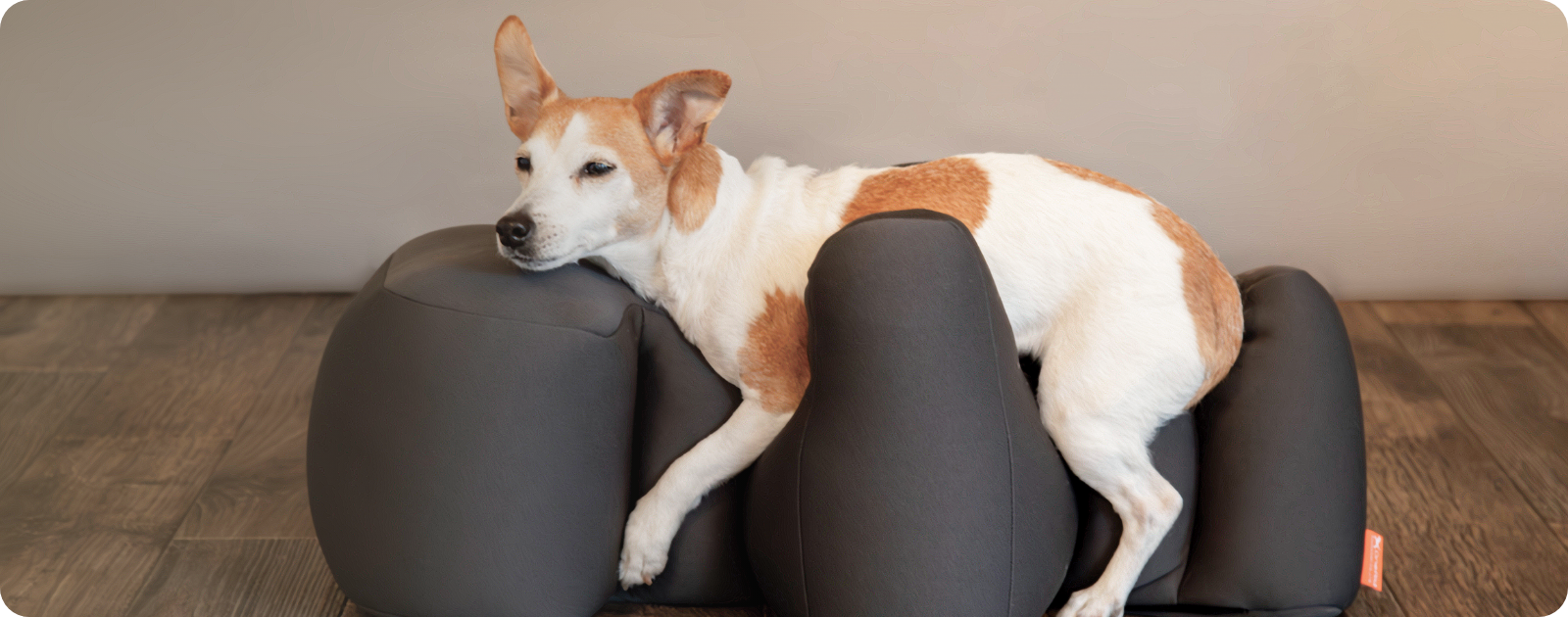 ワンちゃんをらくーにおたすけ】リラクッション | アロン化成