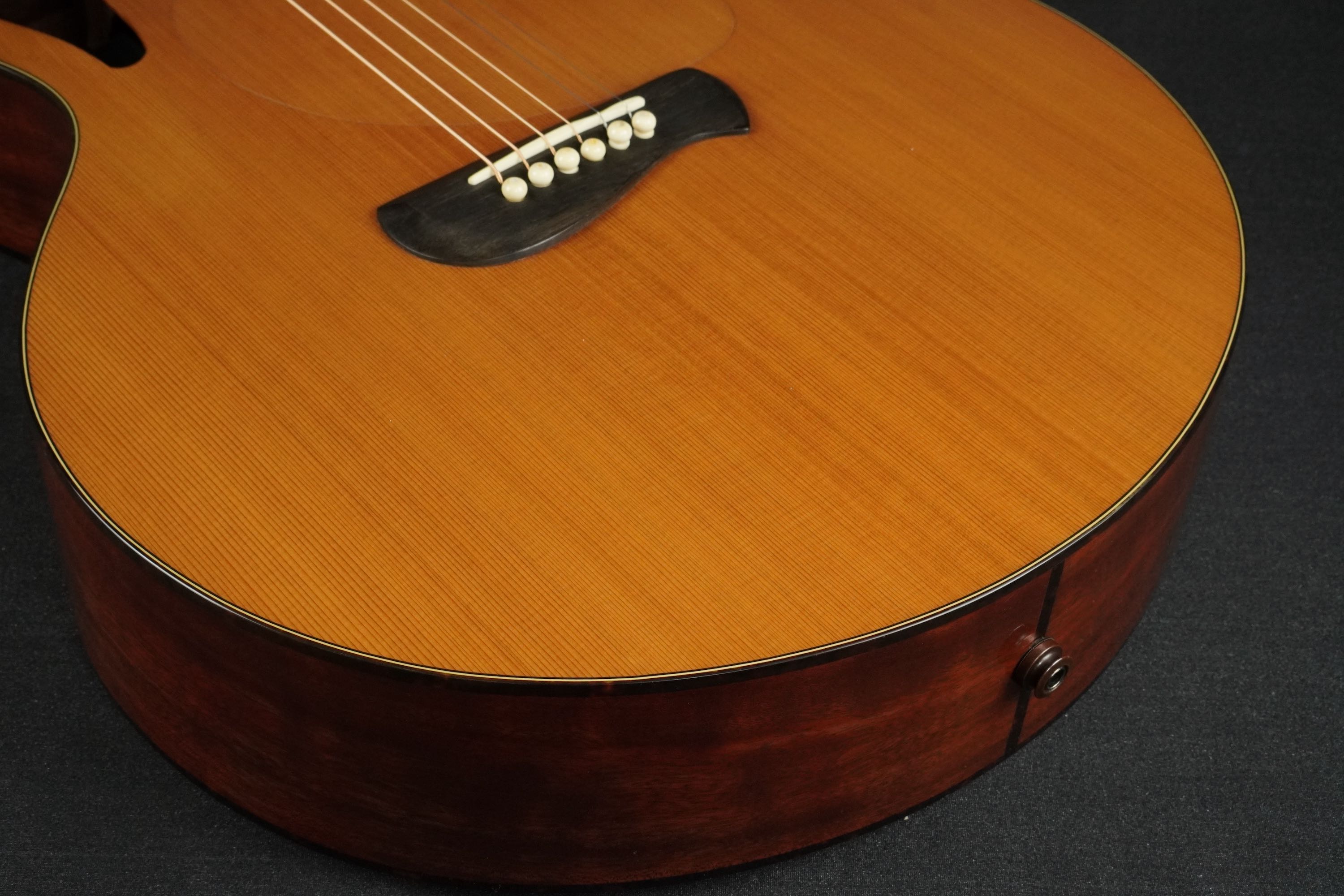 Tacoma CM28C | 楽器詳細ページ [Blue-G]