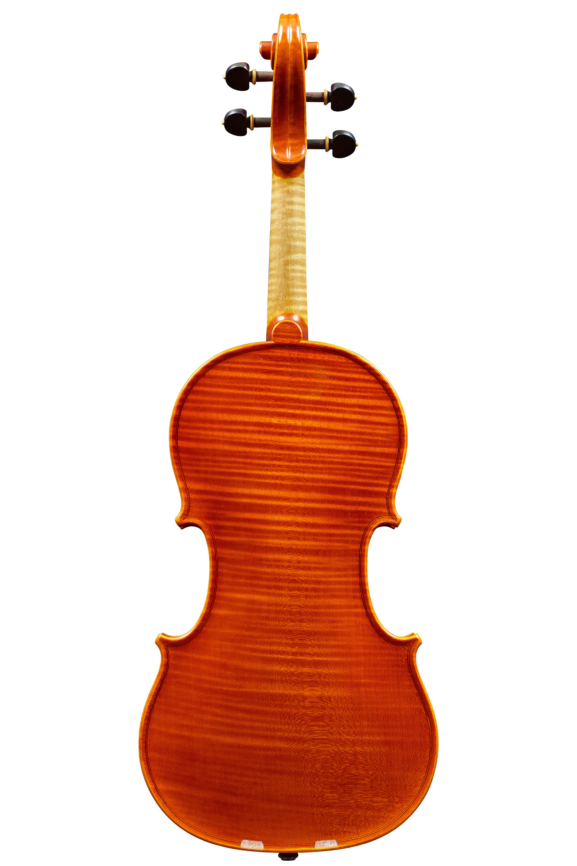 ステファノ・トラブッキ / Stefano TRABUCCHI｜バイオリン専門店の文京楽器