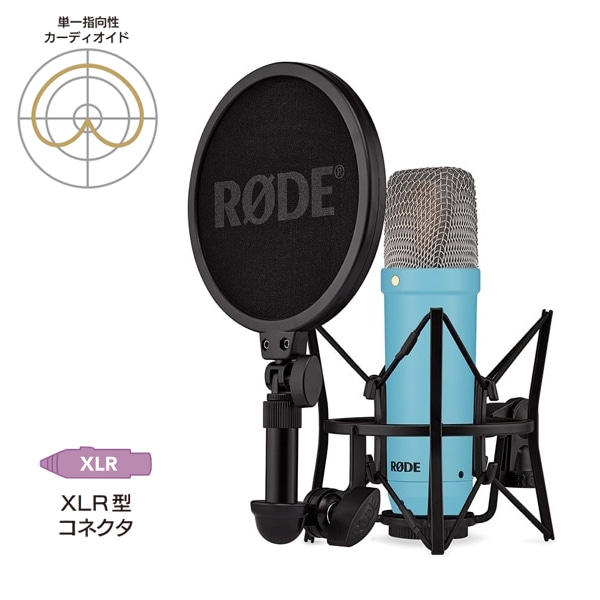 30%/OUTLET】RODE(ロード) NT2-A / コンデンサーマイク / NT2A: マイク