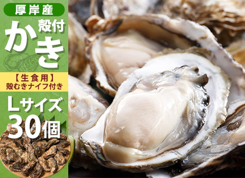 殻付かき 30個入・Lサイズ（北海道 厚岸産）｜【北海道ぎょれん｜お