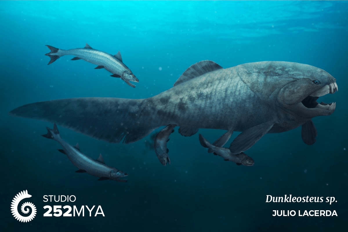 Placoderms: Knights of the Aquatic Table - Darwin's Door