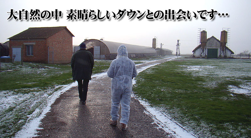 最高級ハンガリー産マザーグースダウン2枚合わせ羽毛布団