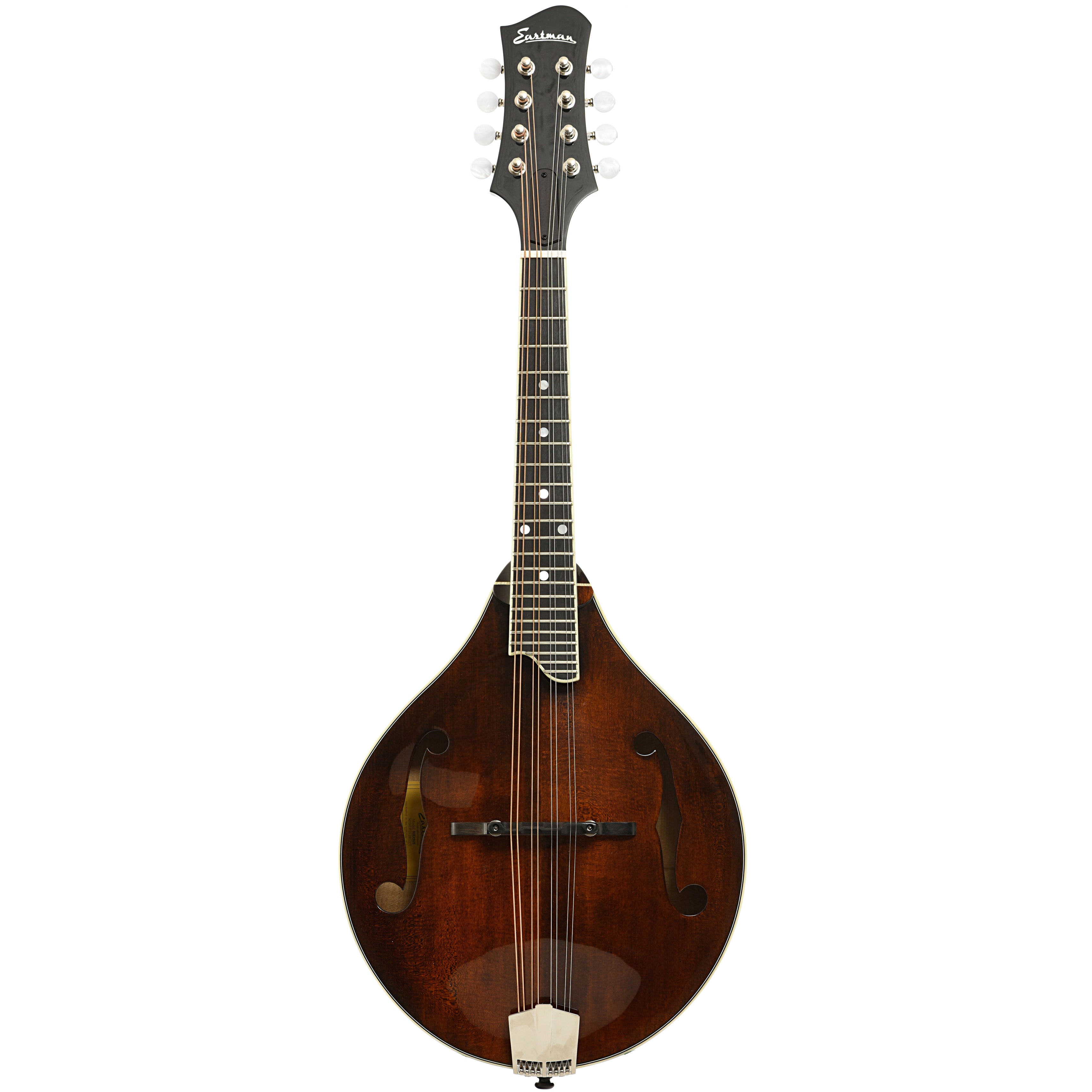 Eastman MD505 Classic Mandolin & Case – Elderly Instruments