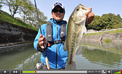 EVERGREEN（エバーグリーン インターナショナル） - HCSS-61ULST