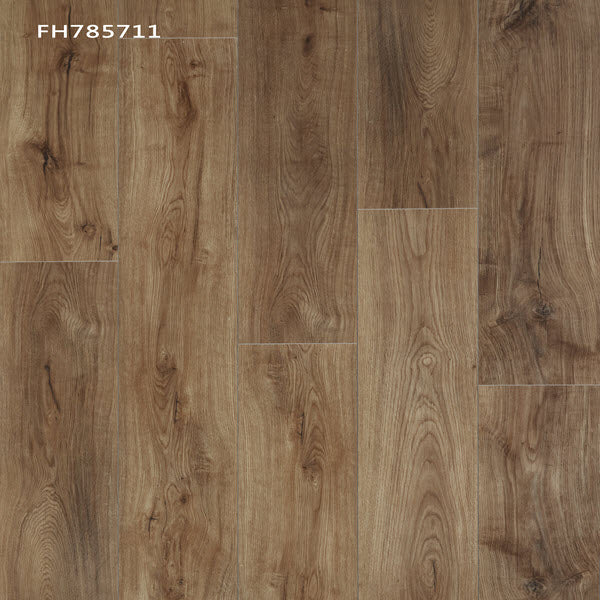 Bella Cera Solution Core Origin FH785711 Badlands 7