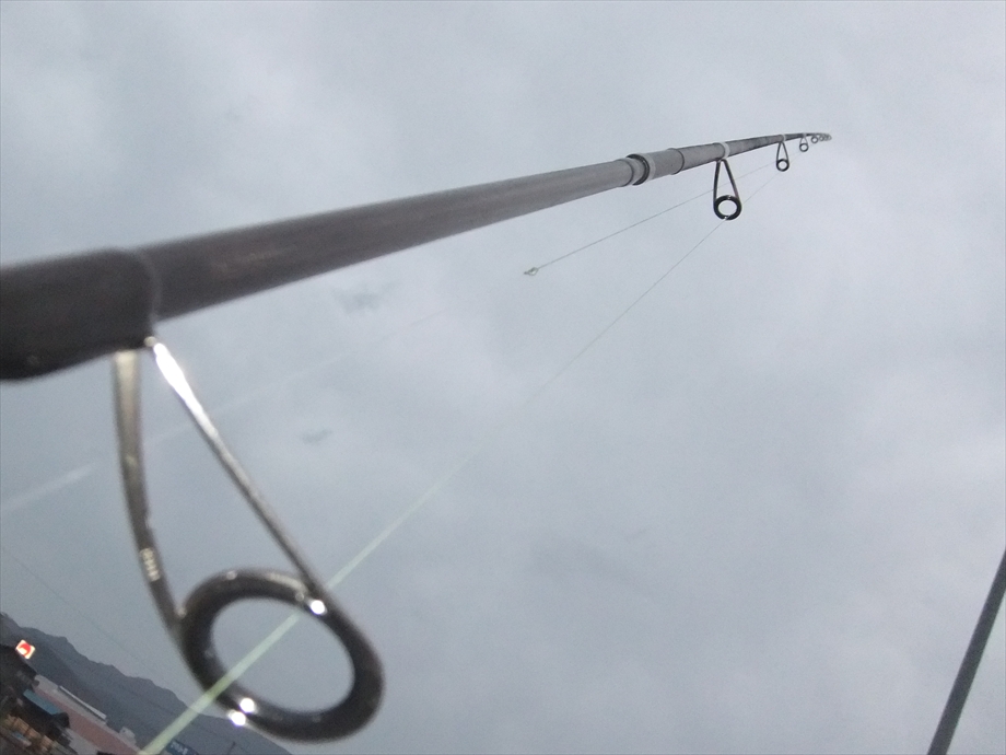 しーばす@ろぐ】 風神R 88MLX インプレッション