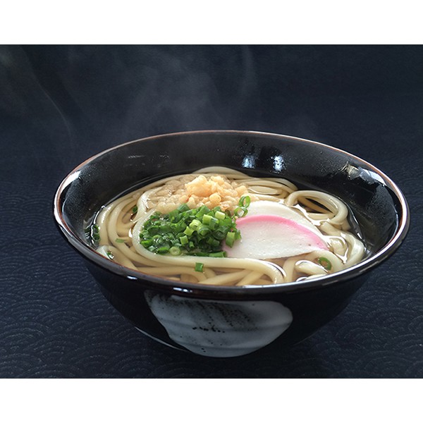 冷凍うどん【うどん20袋】 ｜うどんの藤麺（ふじめん）【公式