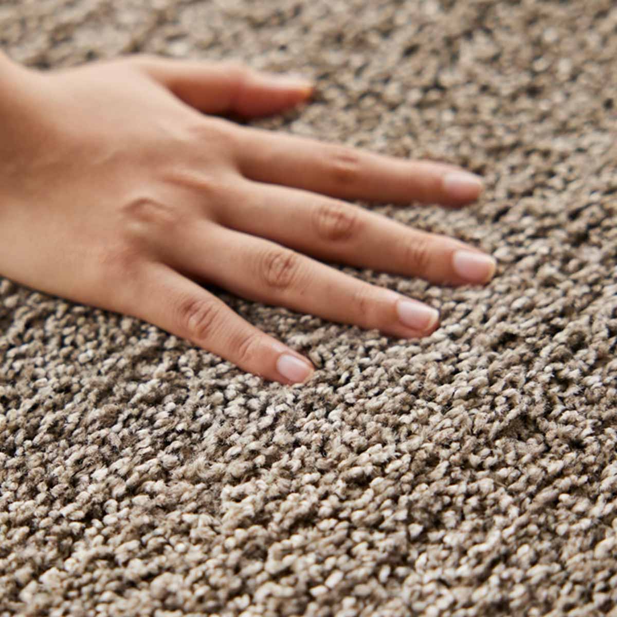 ソーレ カーペット オーダーカーペット | オーダーカーペット・ラグの