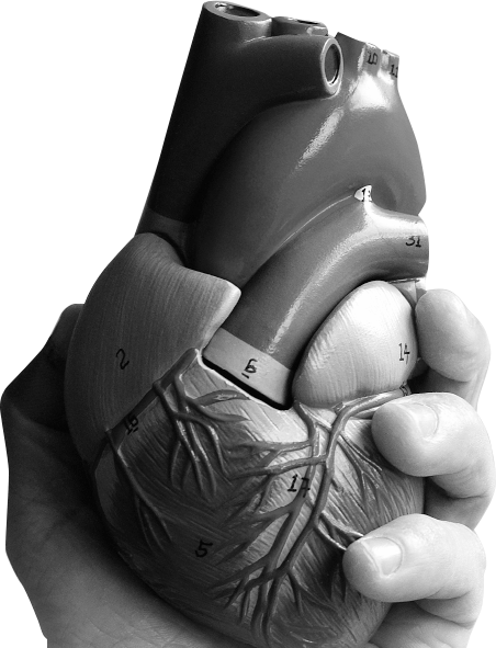 ヒトリエ 3rd Single”ワンミーツハー”特設サイト