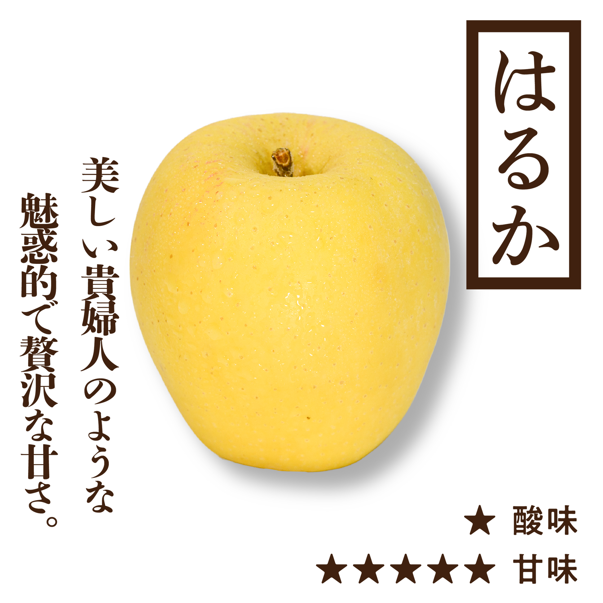 はるか | 産地直送通販 | 青森りんご | RED APPLE（レッドアップル