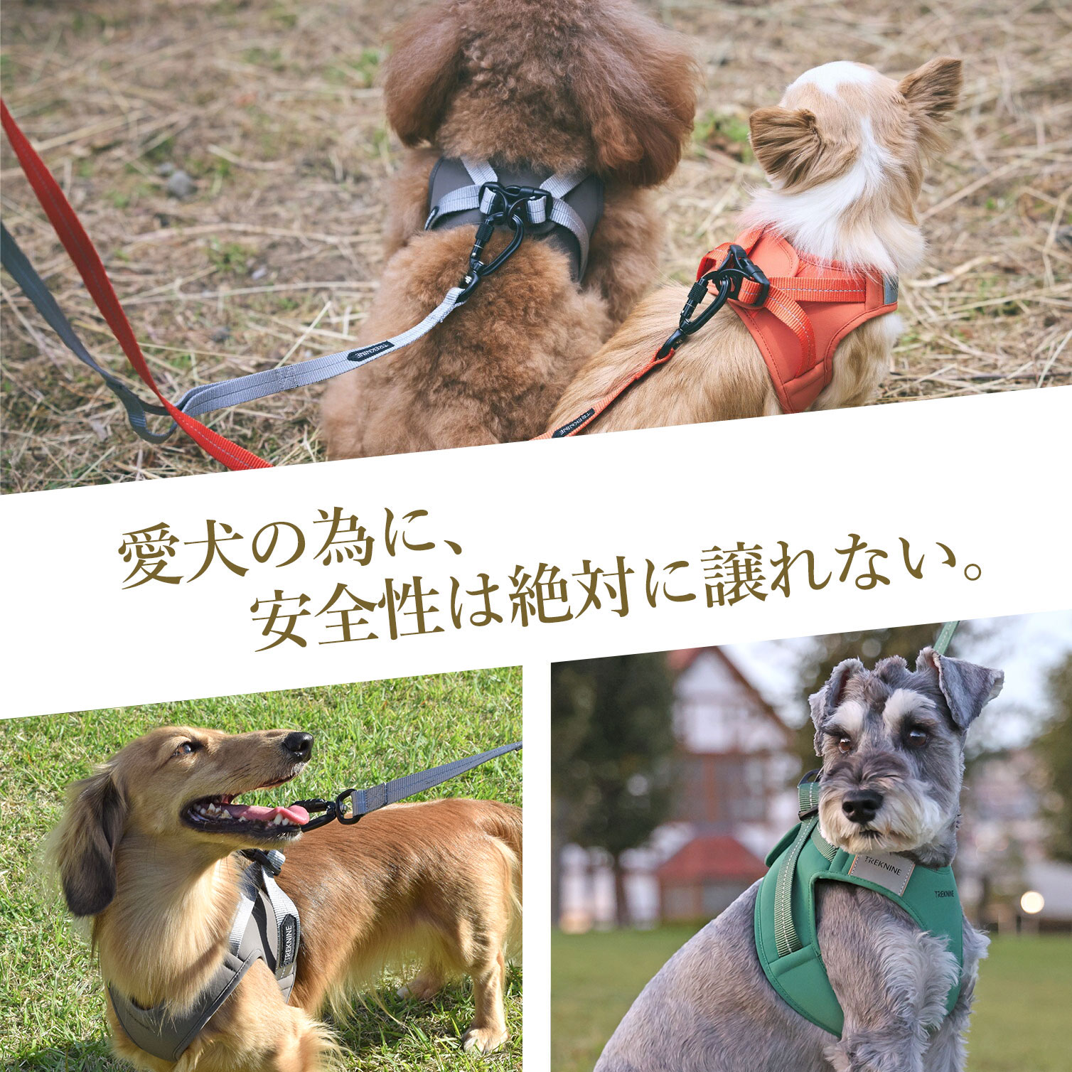 iDog TREKNINE ハーネス コンフォートAIR ベストM/Lサイズ トレック