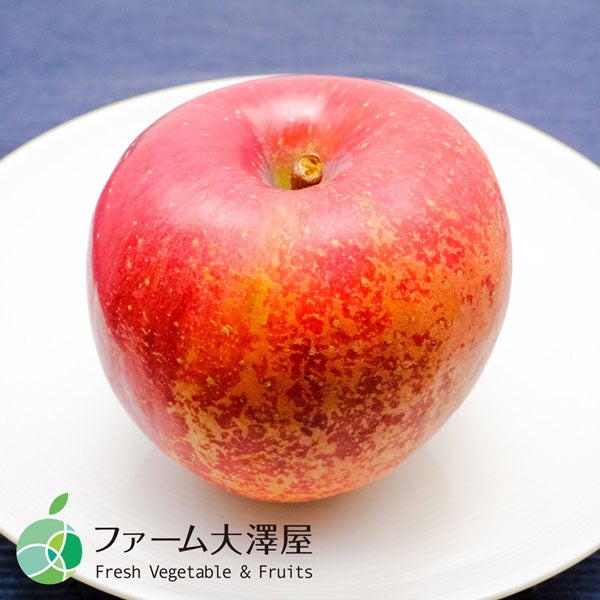 ファーム大澤屋 サンふじ 志賀高原産名人のはねだしりんご 家庭用 約
