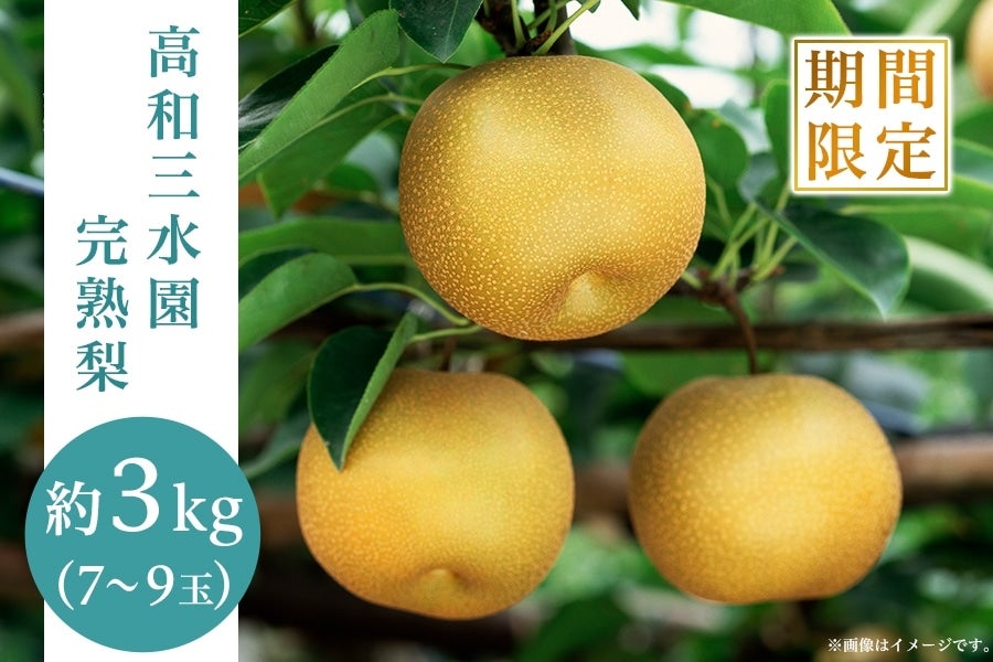 予約】神戸・高和「三水園」 完熟梨（品種：豊水） ※9月上旬出荷開始