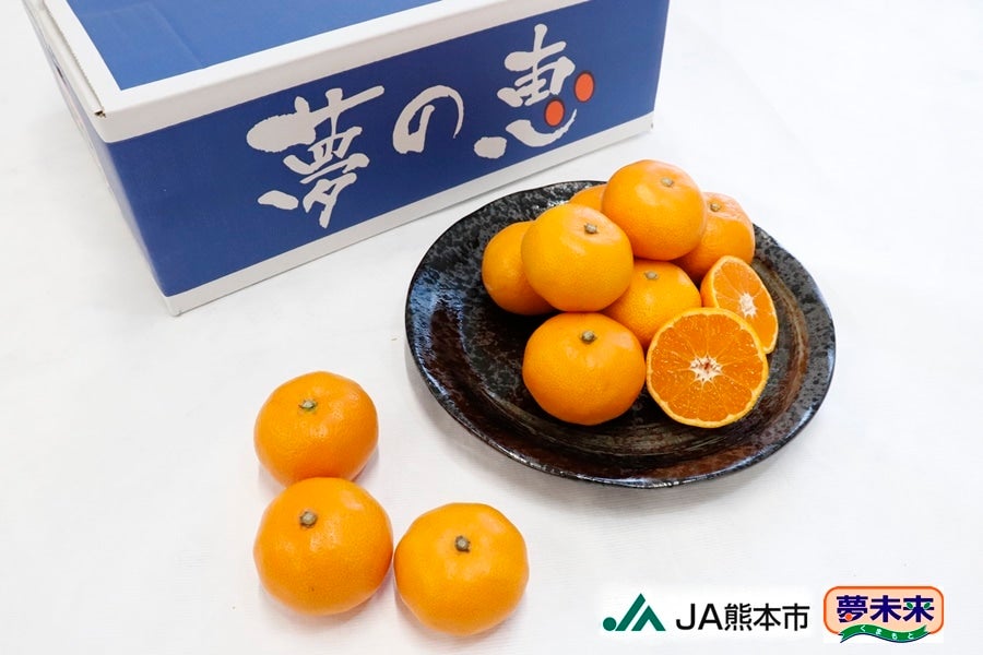 特選みかん「夢の恵」品種：早生みかん（Sサイズ4㎏入）: JA熊本市