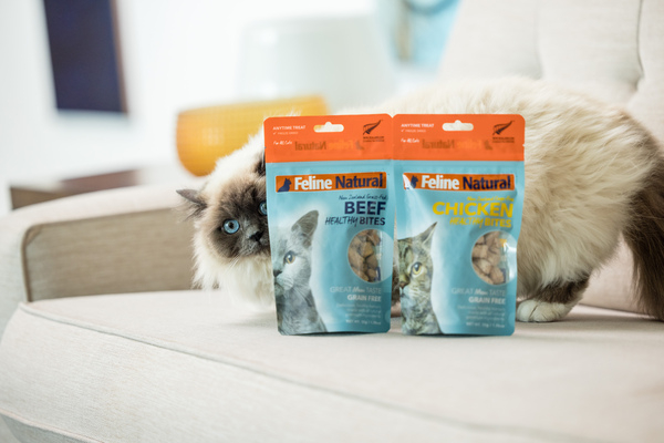 フィーラインナチュラルは水でふやかす？そのまま与える？その疑問に