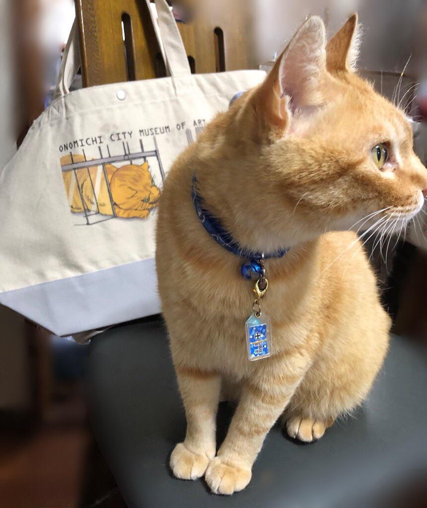 絵本原画ニャ―！展」にあわせて当館オリジナルトートバッグ発売決定