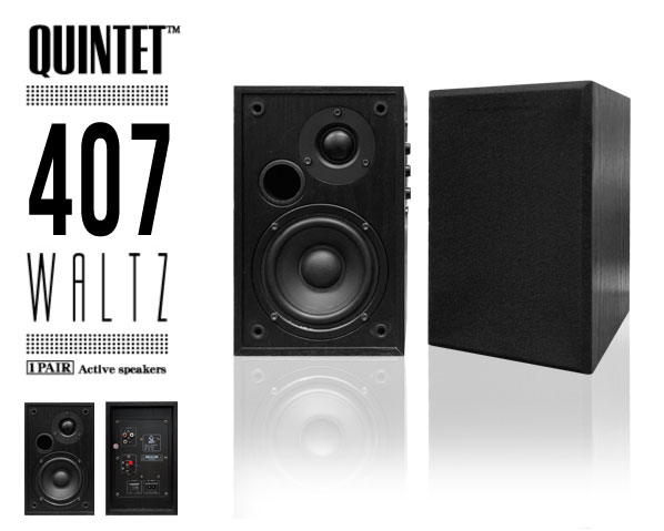 更に値下げ！ジャンク品】QUINTET/モニタースピーカー/407WALTZ（2本