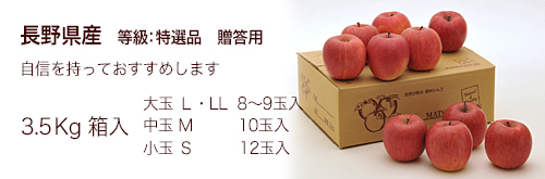 松井農園 - りんご特選品 3.5Kg箱入
