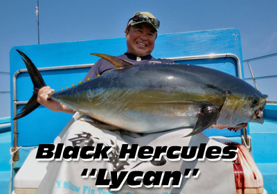 マングローブスタジオ　Black Hercules 7955S Mangrove Studio > Black Hercules /TZ