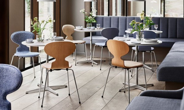 アリンコチェア3101 / カラードアッシュ ラベンダーブルー / フロント