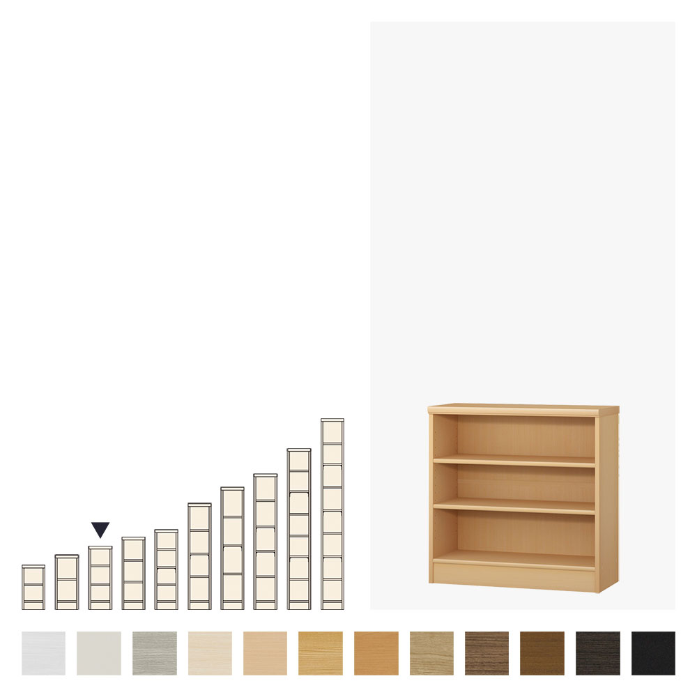 acerack オーダーメイド本棚・標準タイプ