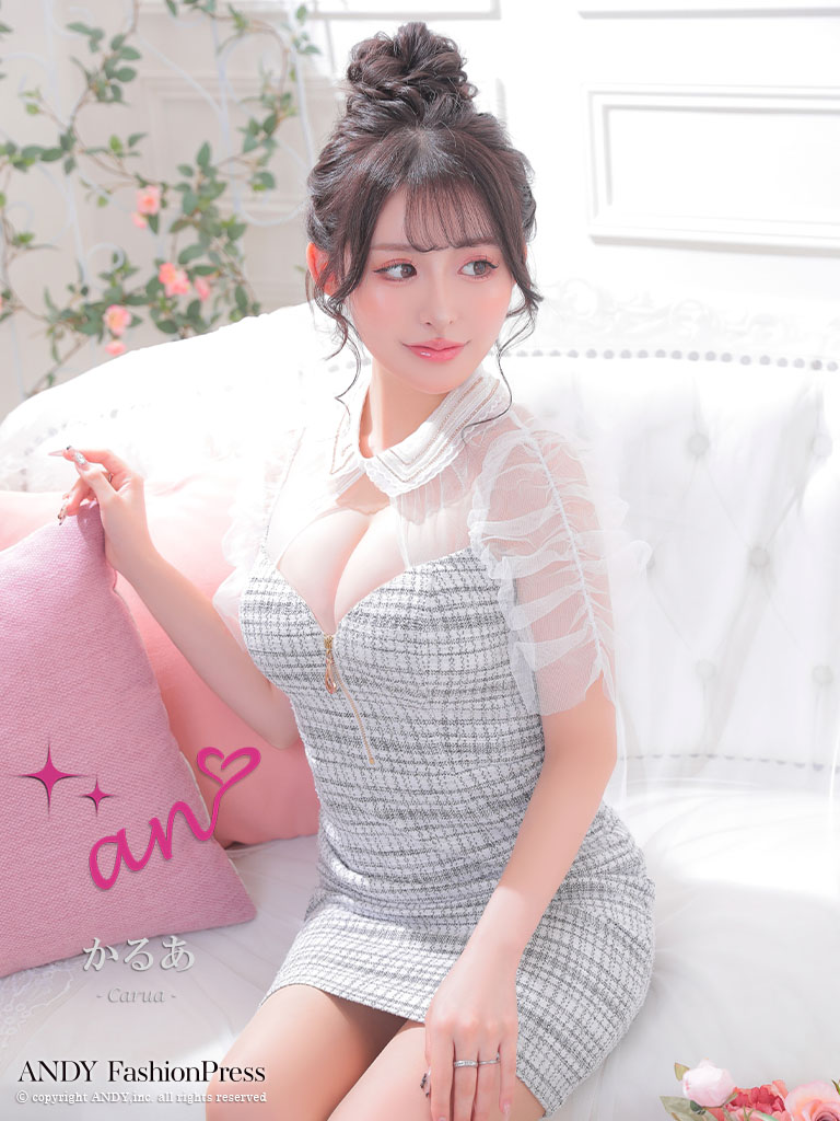 XSサイズあり【an /アン】襟付き/ ツイード/ フロントップ/ シアー